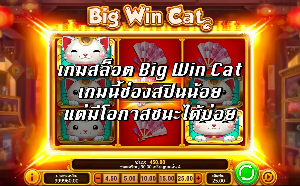 รีวิวเกมสล็อต Big Win Cat